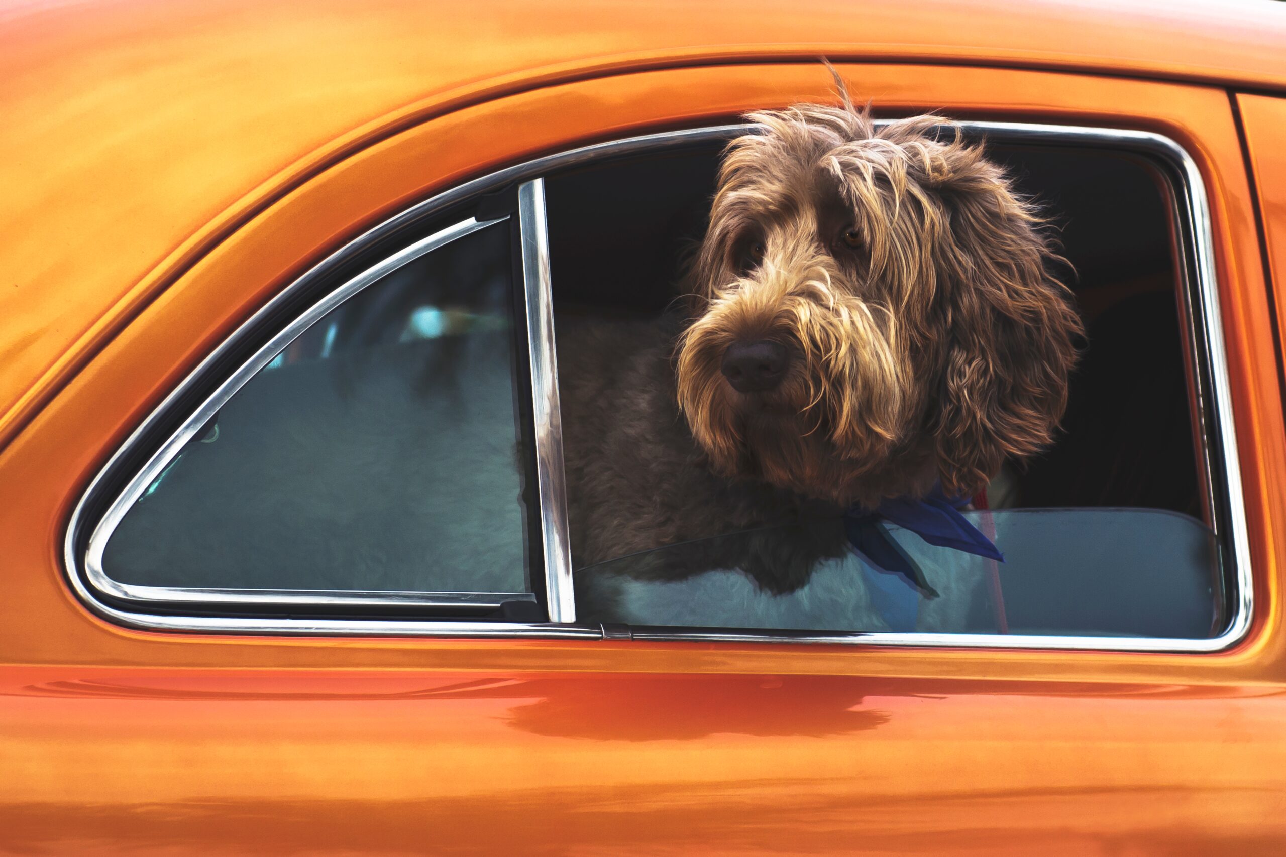 M-R-Classic-Automobile-Journeys-18